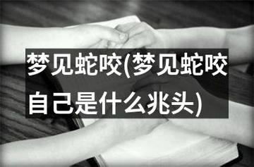 女性梦见蛇的深层解析与生活启示