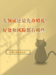 领证先行：揭秘婚礼筹备新趋势的深层意义