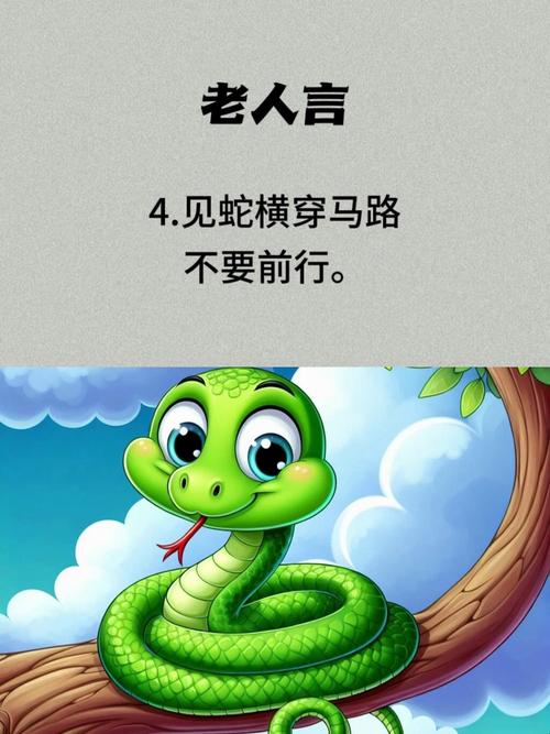 女人梦见双蛇解析：预示转变与机遇的多重象征