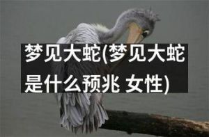 女人梦见蛇：揭秘梦境心理象征与吉凶预兆