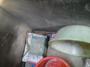 揭秘梦境：蛇进屋的吉凶预兆及启示