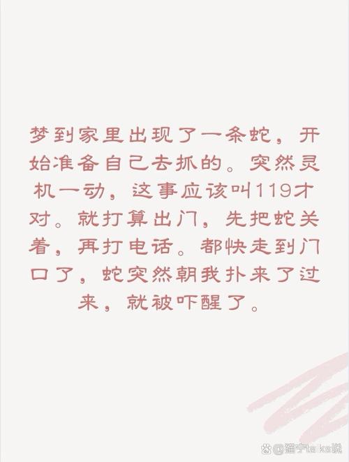 梦境解析：满屋蛇的象征与启示