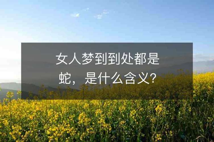 解梦：蛇影预示女性转折与心灵奥秘