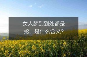 解梦：蛇影预示女性转折与心灵奥秘