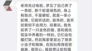 梦蛇象征解析：揭秘梦境蛇的预示与寓意