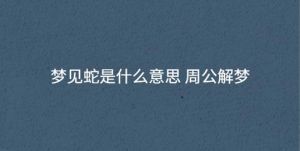 解梦揭秘：蛇梦背后的欲望与力量