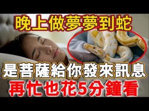 揭秘梦蛇心理：潜意识恐惧与自我成长之旅