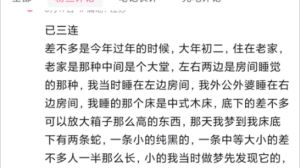 梦境蛇语揭秘：屋里多条蛇的深层含义解析