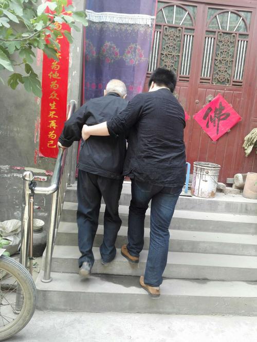 家庭动物园：温馨故事与爱的乐章