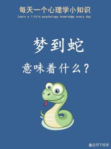 解密梦境蛇群：内心恐惧与转变的象征