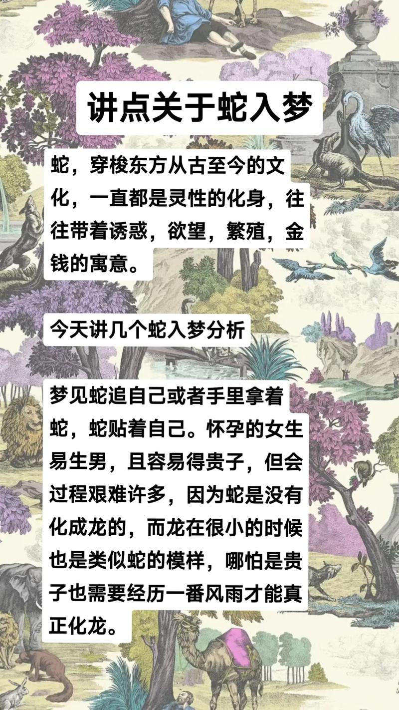 梦境解析：满地蛇的预兆与深层含义揭秘