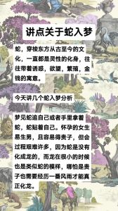 梦境解析：满地蛇的预兆与深层含义揭秘