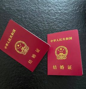 未领证生育子女法律权益解析