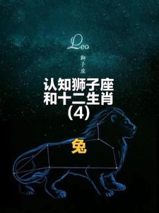 2025年生肖兔狮子马双鱼桃花旺，幸福邂逅指南