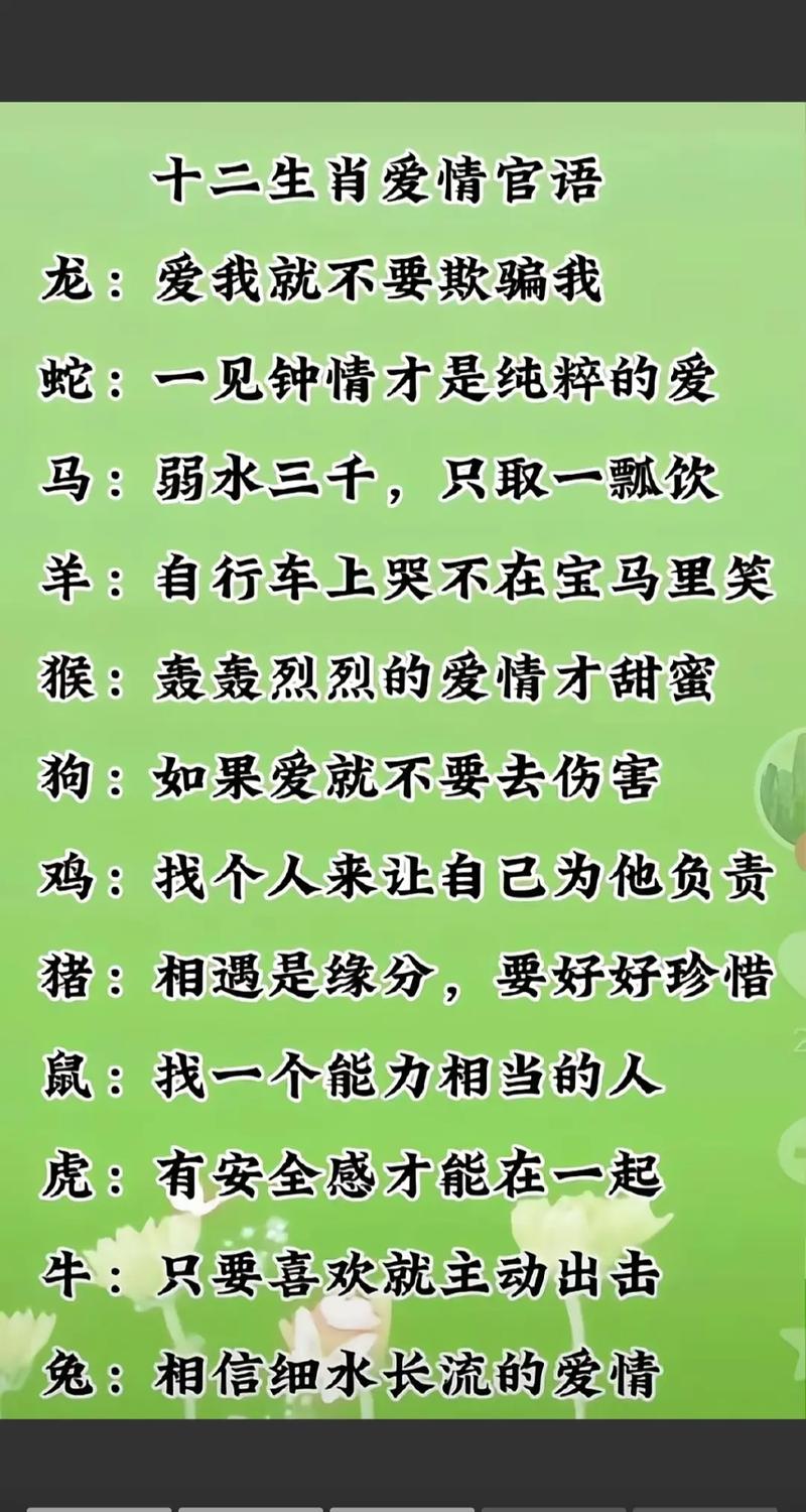 2025生肖爱情大回顾：旧爱重逢，星座情感故事