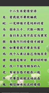 2025生肖爱情大回顾：旧爱重逢，星座情感故事
