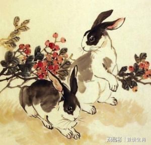 生肖兔虎猪12月运势高峰：抓住机遇，突破梦想！