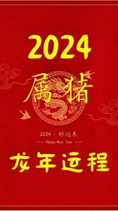 2024生肖猪运势：冬日梦想启航，事业生活大飞跃！