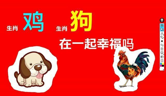 生肖牛狗鸡：揭秘低调逆袭的潜力股人生