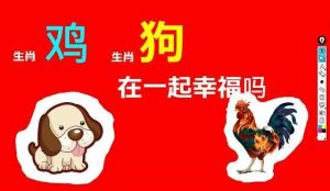 生肖牛狗鸡：揭秘低调逆袭的潜力股人生