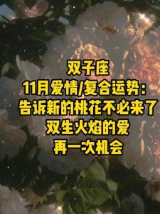 2025桃花季：鼠兔双子天秤爱情运势大爆发！