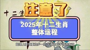 2025星座生肖运势：双丰收揭秘！