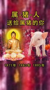 12月8日生肖鼠猪蛇职场好运期，准备迎接奇迹！