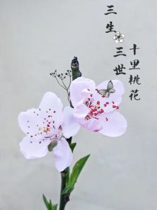 2025春日桃花盛：四大生肖星座爱情绽放季