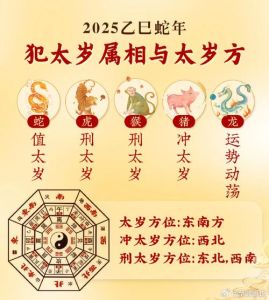2025年生肖星座运势：白羊双子马蛇双丰收年