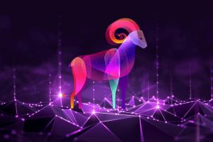 2025爱情新篇章：四大星座桃花盛开，浪漫来袭！