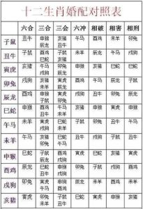 十二生肖冬月运势揭秘：事业腾飞感情甜蜜大揭秘！