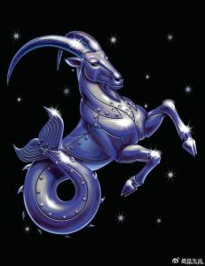 星座奋斗传奇：白羊狮子摩羯天蝎，逆境中绽放光芒