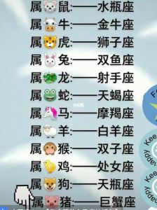 揭秘火爆脾气者的内心柔软：星座生肖温情面