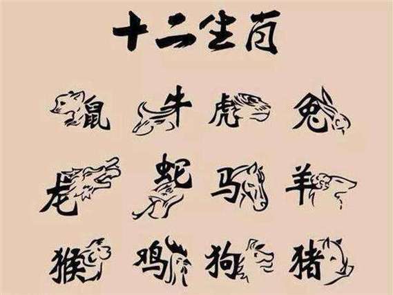 脾气火爆的生肖女：旺夫理财，家庭支柱秘诀！