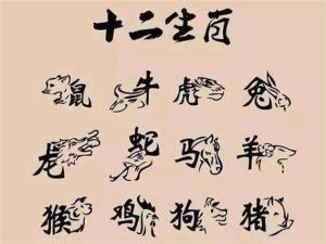 脾气火爆的生肖女：旺夫理财，家庭支柱秘诀！