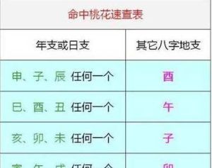 桃花八字揭秘：女性桃花运风水布局攻略