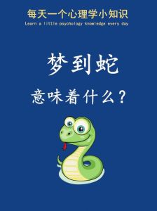 解密梦境：蛇泛滥象征意义及启示