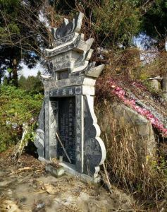 祖坟蛇影揭秘：家族运势与风水之谜