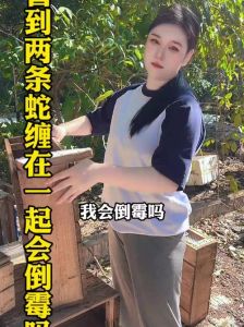 双蛇缠身之谜：民间传说与梦境解析探秘