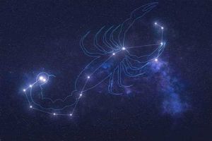 2025年星座运势：生肖猴幸运，白羊蛇双喜临门，双子职场爱情双赢