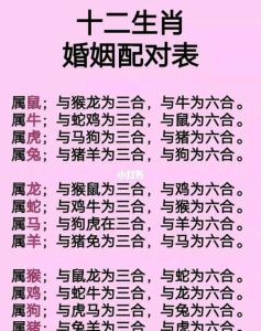 12月生肖盛宴：兔蛇猪财富爱情双丰收！