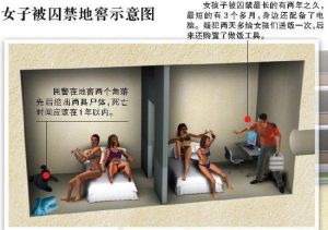 囚禁娇软强迫小说：争议中的文学与价值探讨