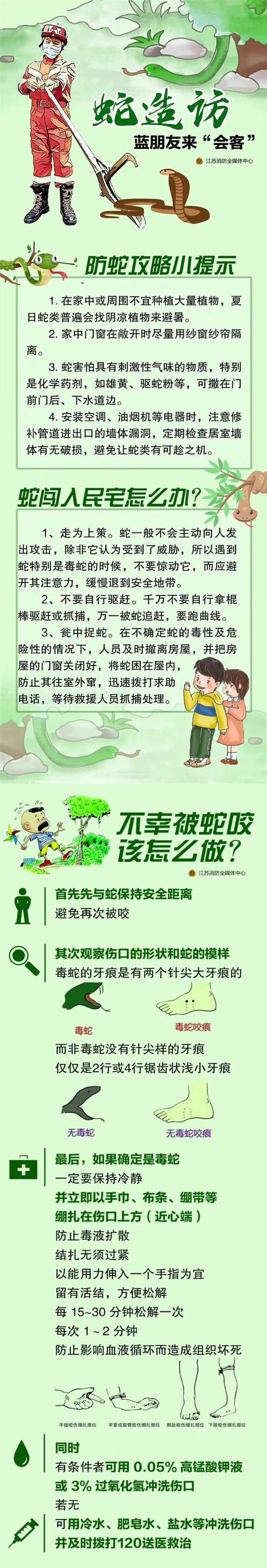 家中小蛇：隐藏的疾病危机及应对之道