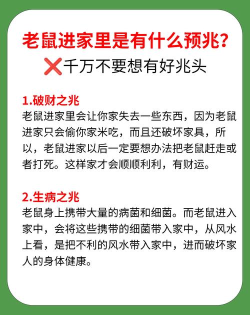 老鼠进家：传统预兆与现代疾病威胁揭秘