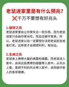 老鼠进家：传统预兆与现代疾病威胁揭秘
