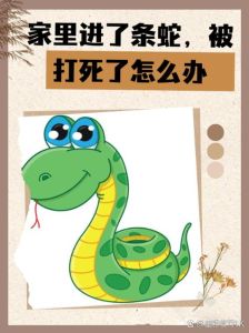 蛇入家门：吉祥凶兆之谜揭秘