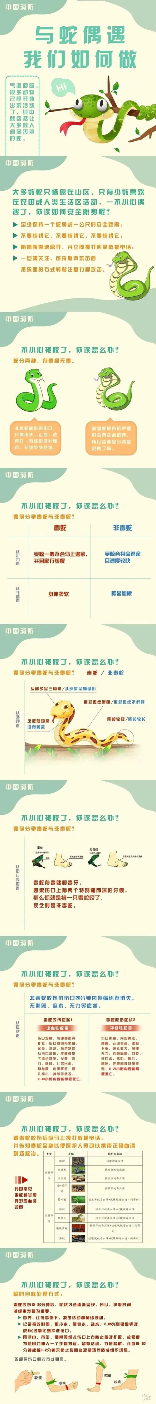 揭秘：小蛇入宅吉凶之谜与生肖龙年寓意