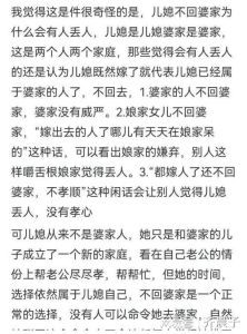 婆媳矛盾：过年儿媳不回家，和谐相处之道揭秘