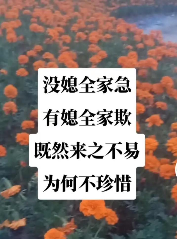 破解婆媳忽视：温暖冬日沟通策略