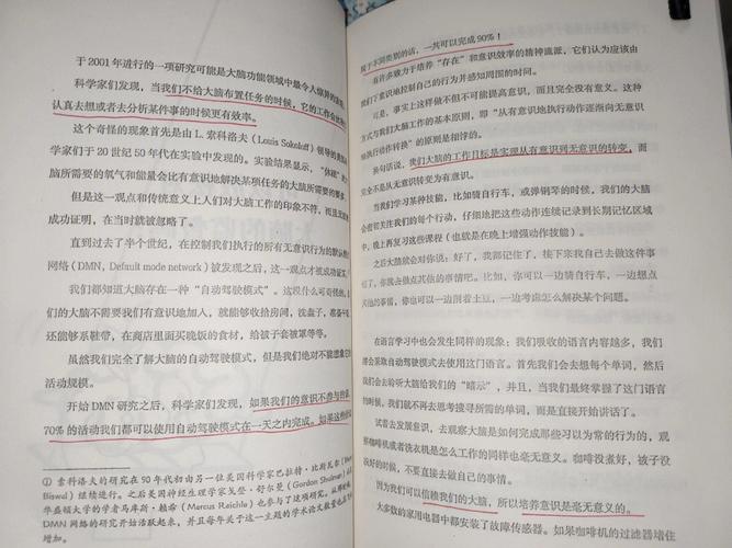 激情较量：赵虎守护正义，揭秘仓库暗战！